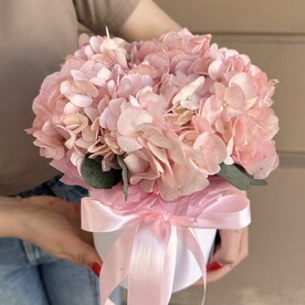 Гортензия а коробке