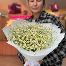 Полевая ромашка