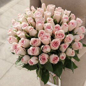 Розовые розы (51 шт)
