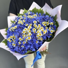 Василек шт, Ромашка шт, Упаковка шт