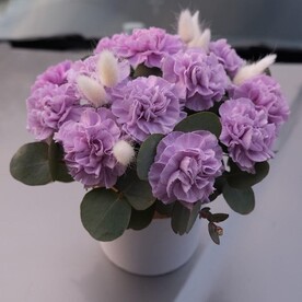 Коробочка лавандовых диантусов