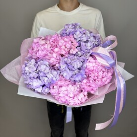 Гортензия для самых нежных 🥰