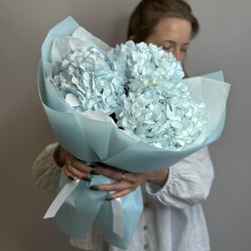 Гортензия шт, Пленка корейская шт, шт
