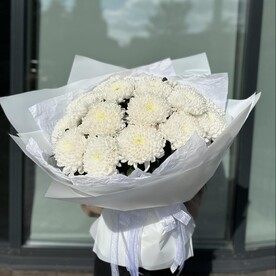 Снежное утро
