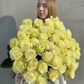 Роза мондиал шт, шт, Аквабокс шт, Подкормка для цветов шт