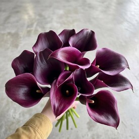 Калла шт, шт, Подкормка для цветов шт, Аквабокс шт, Инструкция по уходу шт, Транспортировочная коробка шт