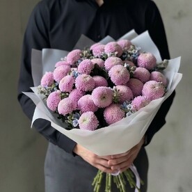 Хризантема момоко шт, Оксипеталум шт, Тишью шт, Пленка шт, шт