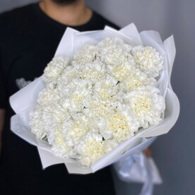 Диантус белый 19 шт в упаковке