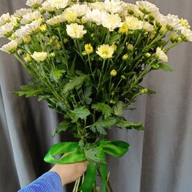 Букет из 15 хризантем Сантини
