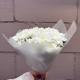 Хризантема кустовая шт, Упаковка шт, шт