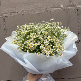 Монобукет из танацетум
