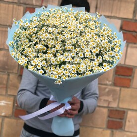 Букет из ромашки