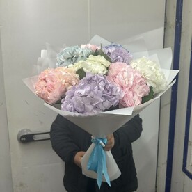 Гортензия