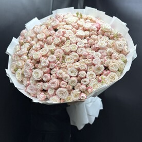 Кустовая розы