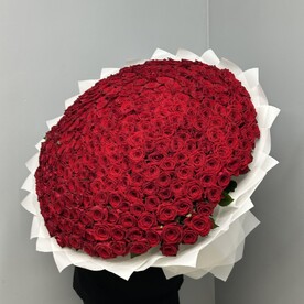 Роза 301