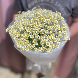 Ромашка шт, шт, Дизайнерская упаковка шт, Аквапак шт