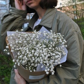 Гипсофила белая
