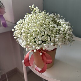Коробочка с гипсофилой