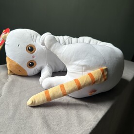 Кот для обнимашек