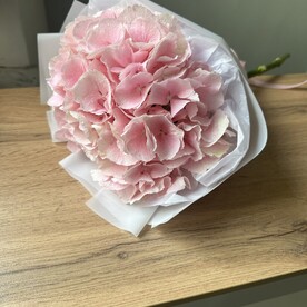Розовая гортензия