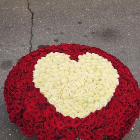 Монобукет из 501 красной розы в корзине