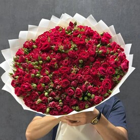 Монобукет из 101 красной Кустовой розы