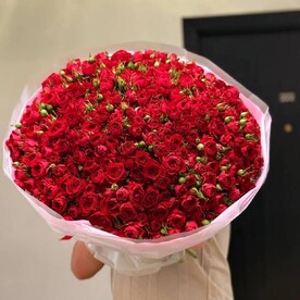 Монобукет из 151 красной кустовой розы