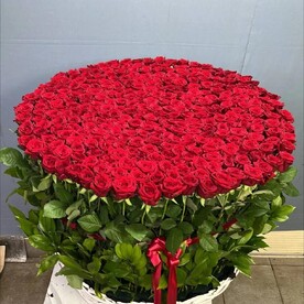 Монобукет из 151 красной розы в корзине