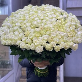 Огромный букет из Эквадорских роз