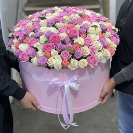 201 разноцветные розы в коробке