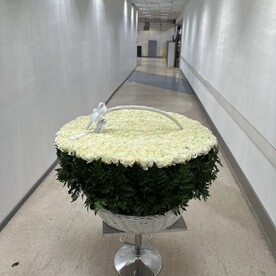 301 роза аваланж