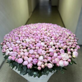 Огромная корзина из нежных пионов