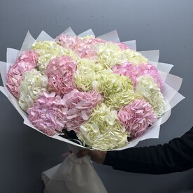 Микс гортензии