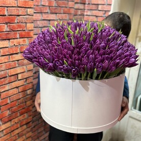 Тюльпаны в коробке 401