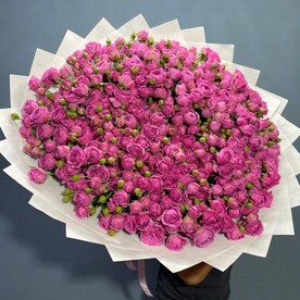 Роза кустовая пионовидная