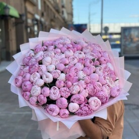 Пионы