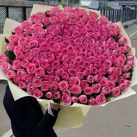 Розы