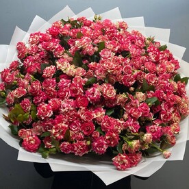 Роза кустовая