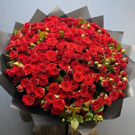 Роза кустовая