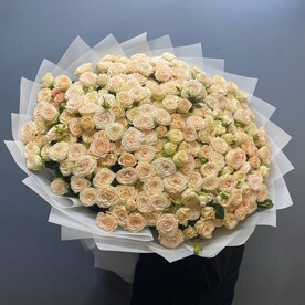 Роза кустовая пионовидная