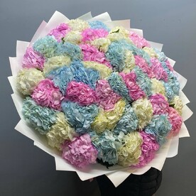 Гортензия микс
