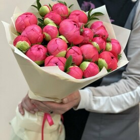Букет из 21 коралловых пионов