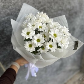 Хризантема кустовая, Авторская упаковка