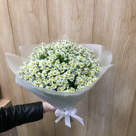 Букет поле ромашек