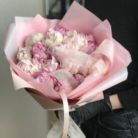 Пион, Пленка корейская