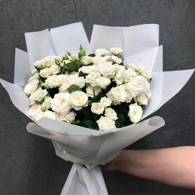 Роза кустовая, Пленка корейская