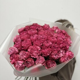 Роза пионовидная, Пленка корейская
