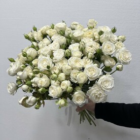 Розы 19шт кустовые белые