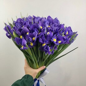 Букет 25шт ирисы