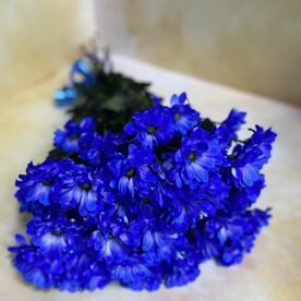 Букет кустовых хризантем 7 шт